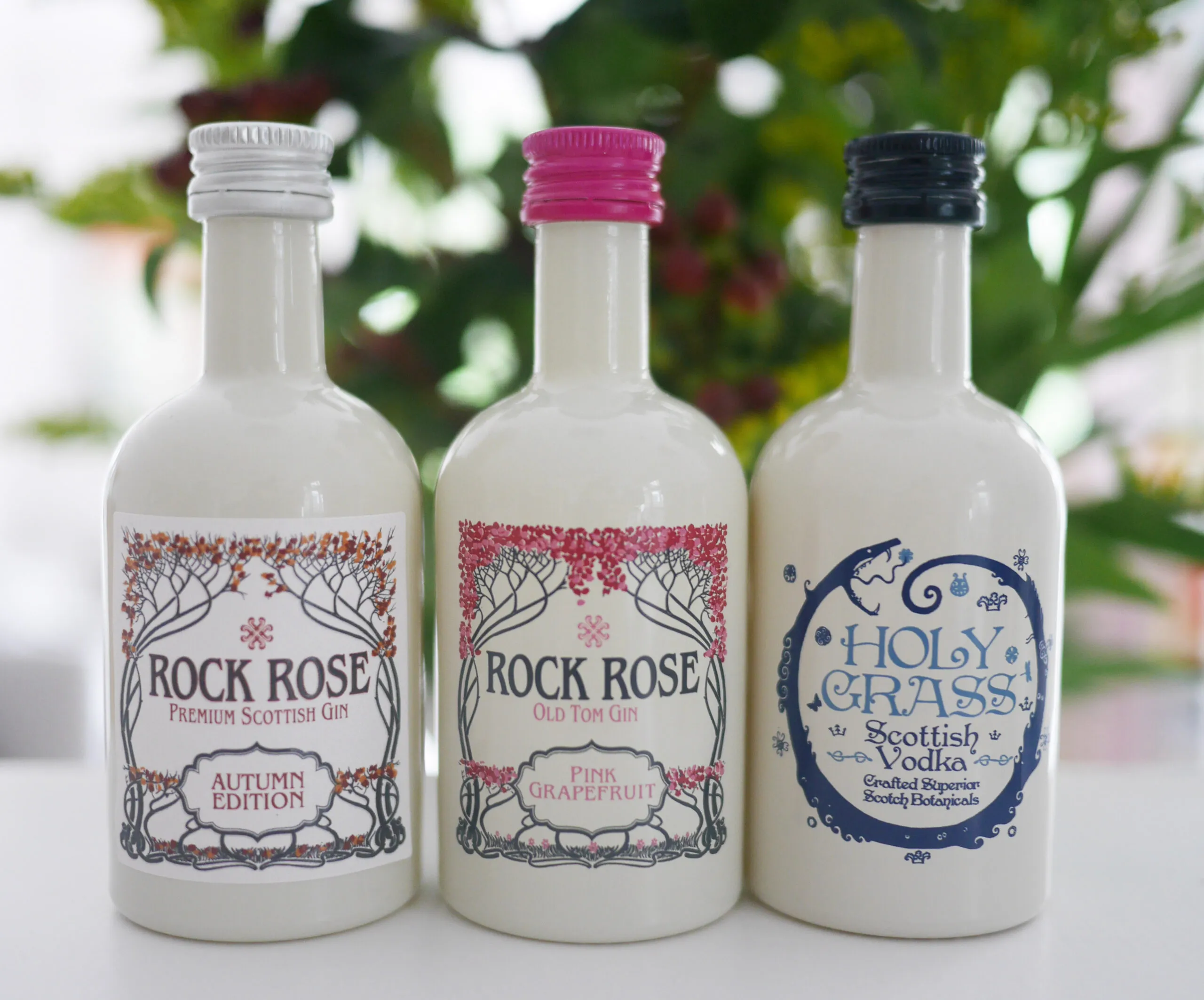 RockRose2-scaled_15_11zon